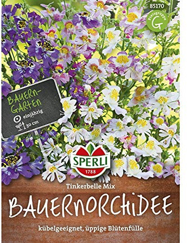 Sperli Bauernorchidee 'Tinkerbelle Mix' | Bienenweide | tolle Schnittblumen | Päckchen Samen