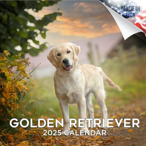 Golden Retriever Kalender 2024 2025 – Monatlicher Wandkalender für Hunderassen – 30,5 x 61 cm offen – dickes Papier ohne Auslaufen – Geschenk – akademischer Lehrerplaner Kalender Organisieren & Planen
