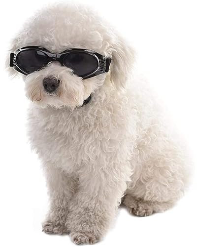 Haustierbrille Hund Sonnenbrille Hund Sonnenbrille Winddicht Welpen Brille Anti-Beschlag UV-Schutz Sonnenbrille Cosplay Foto Requisiten für Katze & kleine Hunde (Schwarz)
