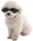 Haustierbrille Hund Sonnenbrille Hund Sonnenbrille Winddicht Welpen Brille Anti-Beschlag UV-Schutz Sonnenbrille Cosplay Foto Requisiten für Katze & kleine Hunde (Schwarz)