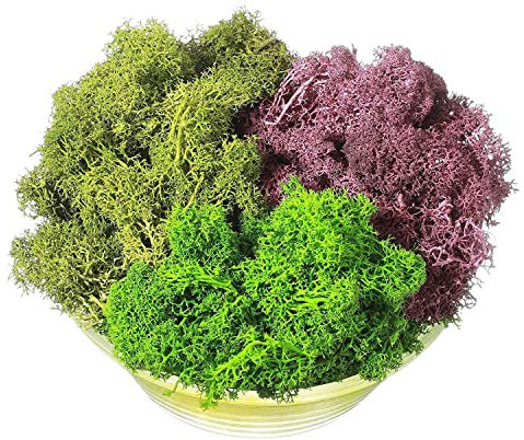 iFutniew 300 g Moosgrünes, unsterbliches, künstliches dekoratives Moos, künstlich, 3 Farben, gemischte Garten-Trockenblumen, spanisches Moos, C