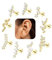 Helix Piercings Chirurgenstahl Piercing Ohr Gold - 9Pcs 16G Tragus Conch Helix Piercing Chirurgenstahl Ohrringe Gold Stecker Ohrpiercing Silber CZ Blume Flat Tragus Conch Piercings Set