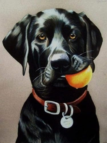 500 Pieces Jigsaw Puzzles For Adults Black Dog Labrador Puzzle For Youth Animal Puzzles Diy Wall Art Family Game Decompress Toys Gift For Dog Lovers 52x38CM
