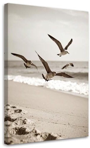 Feeby Wandbilder - Bilder Schlafzimmer - Möwen Vögel Meer Strand Natur - 60x90 1tlg - Wohnzimmer Bild Groß - Wohnungs - Foto Geschenk - Leinwand Wall Art - Wand Deko
