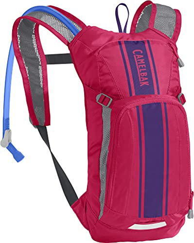 CAMELBAK Mini M.U.L.E Packs - Hot Pink/Purple Stripe, One Size