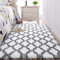 JURLEA Teppiche weicher Innenbereich Design Bereich Teppiche Flauschiger Teppich für Wohnzimmer Glatte Fellteppiche rutschfest Kinderzimmer Teppich (Weiß, 160 x 200 cm)