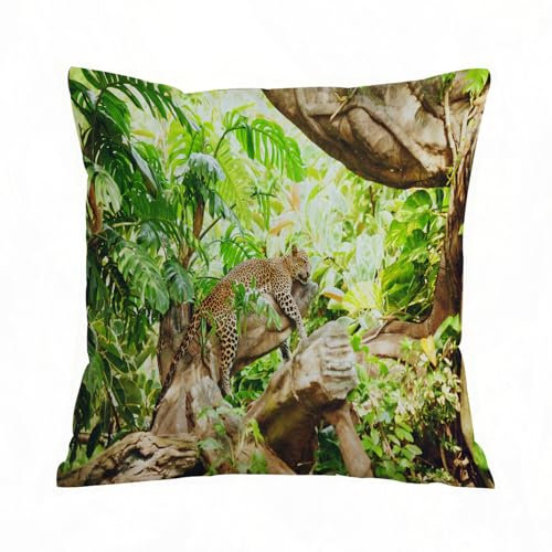 AELKSP Kissenbezug Kissenhülle Haus Dekorativ Für Jungen/Mädchen Wohnzimmer Schlafzimmer Sofa Stuhl Kissenbezüge,Safari-Set, Leopard auf dem AST in der exotischen Savanne, Makro, tropischer,40x40 cm