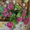 200 pcs geranien samen hängend mehrjährig, Geranie, bienenfreundliche blumensamen, garten geschenk geranien pflanzen echt (Pelargonium hortorum) blüten, kräuterbeet wildblumensamen,
