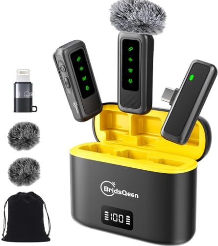 BridsQeen M8Pro 2 Kabelloses Mikrofon für iPhone, iPad, Android mit Typ C, Lavalier-Mikrofone für Videoaufnahmen - 2 Pack Mini Mikrofon Kristallklare Aufnahme mit USB-C für Podcast