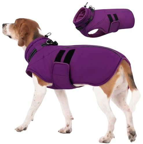 IECOii Winterjacken & Wintermäntel Für Hunde,Warme Hundejacke Winter,Wasserdichter Hundemantel,Verstellbarer Hundemantel Winter,Reflektierende Hundejacke Wasserdicht,Gürtel WinterHundemantel,Lila,XL