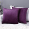 Deconovo 2er Set Samt Kissenbezüge Sofa Kissenbezug Zierkissenbezüge Weich Design Dekor Schlafzimmer Wohnzimmer Couch Büro, 50x50 cm, Dunkellila