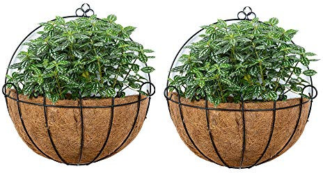 Jardineras Colgantes 2 Piezas Jardinera Pared de Metal Canasta Plantas Colgantes Jardinera Metal con Revestimientos Coco para Jardineras, Jardineras Colgantes Alambre Grandes para Plantas Exterior