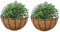 Jardineras Colgantes 2 Piezas Jardinera Pared de Metal Canasta Plantas Colgantes Jardinera Metal con Revestimientos Coco para Jardineras, Jardineras Colgantes Alambre Grandes para Plantas Exterior