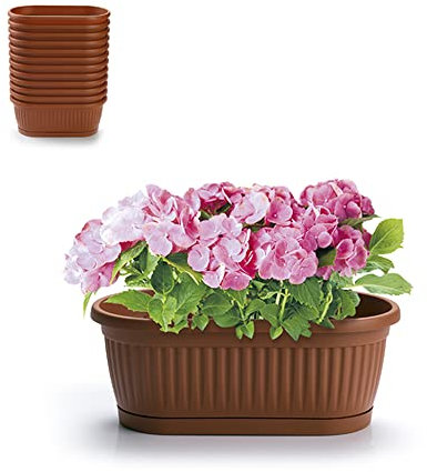 Plastic Forte Jardinera con Plato 22x11,5x8,5 cm 11565