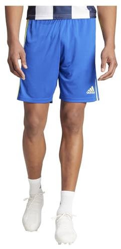adidas Herren Squadra 21 Shorts, Team royal Blue/Team solar Yellow/Team royal Blue, M