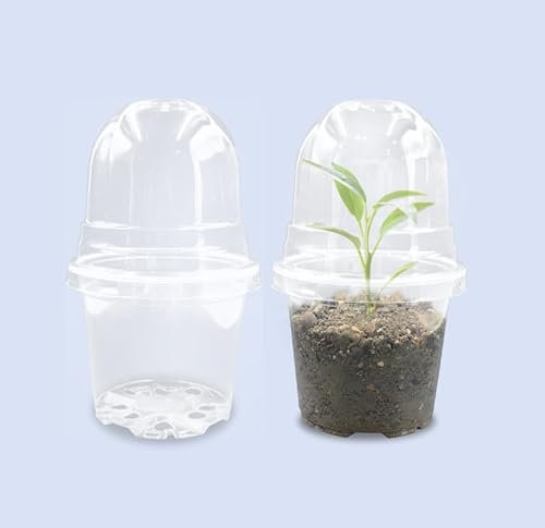 RooTrimmer Transparent Nursery Pots 4Inch with Humidity Domes for Seeds Starting, Clear Plastic Plant Pots with Drainage Holes (4Inch, 30Pcs,Clear Pots with Lids)
