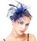 Damen Fascinator Hut Gefieder Stirnband Fascinator Blumen Netz Spitzen Clip Hut Feder Haarschmuck Kopfbedeckung für Party Kirche Hochzeit Cocktail Jockey Club Fascinator Navy Blau