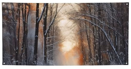 Wandering in the winter light Banner Party Decor Hintergrund Banner Geburtstag Party Fotografie Hintergrund Dekorationen Indoor Outdoor Wanddekoration Banner Party Supplies Favors 119 x 61 cm