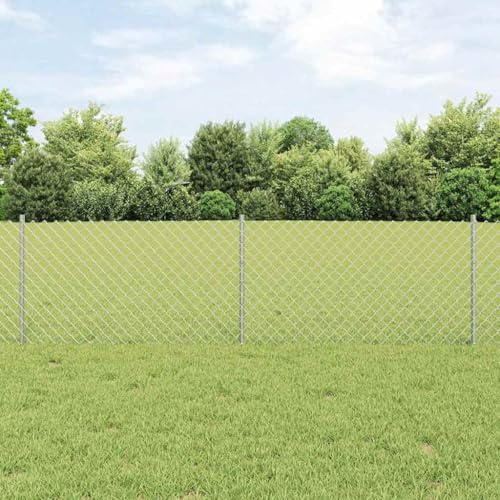 Zaun Garten Doppelstabmattenzaun,Zaun mit Pfosten Silber 0,6 x 10 m Stahl