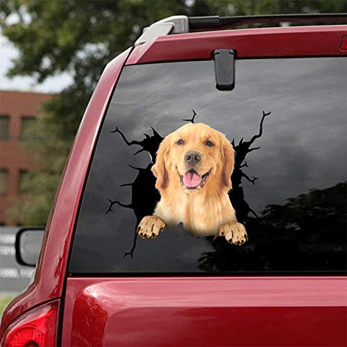 Ocean Gift Golden Retriever Auto Aufkleber, Hund Auto Aufkleber 2 Stück - Realistische Golden Retriever Aufkleber für Autofenster, Wände Serie 70 Größe 30,5 cm x 30,5 cm