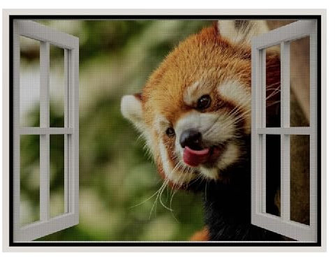 Insektenschutz Fenster, 140x200cm Fliegengitter Mit Hochwertigem Gewebe Selbstklebendes Insektenschutz Fenster Netz Ohne Bohren, Schwarz