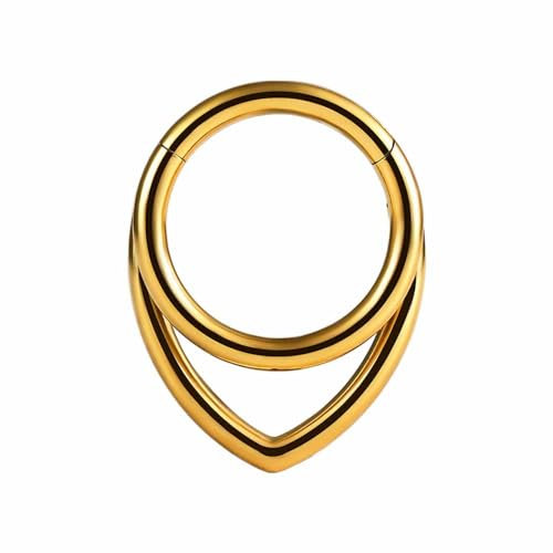 Vankula Septum Piercing Ringe aus G23 Titan Hinged Segmentring Clicker 10mm 16g Helix Nase Tragus Daith Piercing Schmuck für Frauen und Männer Gold