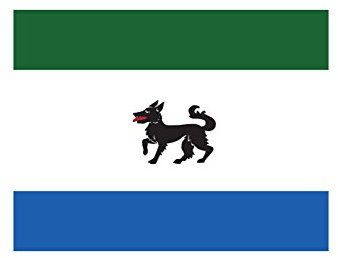 magFlags Bandera Large Oficial Ayuntamiento Peque Zamora | Bandera Paisaje | 1.35m² | 90x150cm