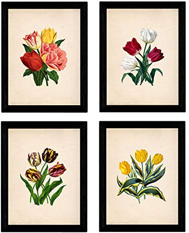 Nacnic Botanische Plakate 4-er Set. Papier Hintergrund Tulpen Poster Set. Verschiedene Hintergründe zur Auswahl. Größe A3, ohne Rahmen.