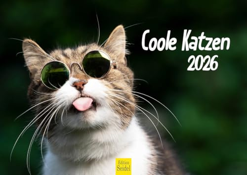 Edition Seidel Premium Kalender Coole Katzen 2026 Format DIN A4 Wandkalender Katzenkalender Haustiere Kätzchen Katze Kater Kitten lustige Sprüche