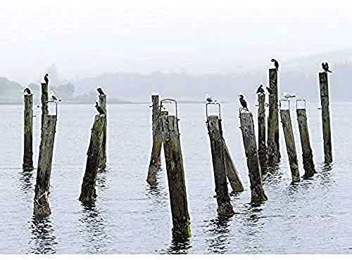 Fine Art Prints Colin Old Pier Salen Isle Mull Schottland Foto, ungerahmt, Wandkunstdruck, Poster, Heimdekoration, Premium