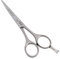 NTS-Solingen Haarschere Friseurschere Silver Line 250 satiniert 11,5-16,5 cm - 100% Made in Solingen, Germany (5,5 = ca. 14 cm)