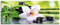 ARTLAND Spritzschutz Küchenrückwand Küche Herd Glas mit Motiv 125x50 cm Design Asien Orchideen Blumen Blüte Natur Bambus Zen Steine Grün T9IQ