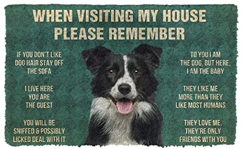 NA Door Mat Indoor Doormat Please Remember Border Collies House Rules Custom Doormat Thousewarming gifts home decor