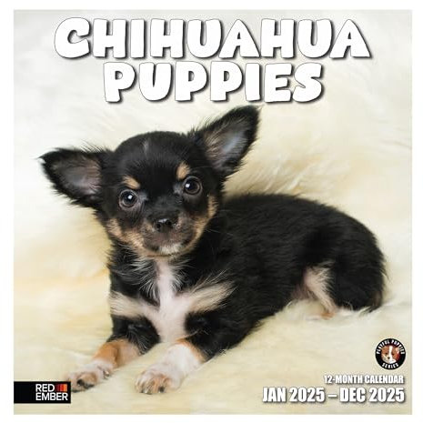 RED EMBER Monatlicher Wandkalender Chihuahua Welpen 2025 | 30,5 x 61 cm offen | dickes & stabiles Papier | Geschenk | süßer Hund | Die kleinsten Chihuahuas COG: 0,97 / Preis: 23,61