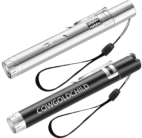 COWGOLDCHILD Interactive Cat Toy Cat Light Pen Electric Cats Toys USB Rechargeable with LED Pointer for Indoor Cat Kitten Teaser Toy Chase Training Enrichment Cats Accessories (2, Silver&Black)