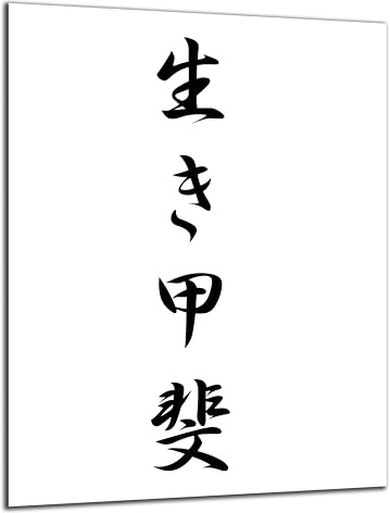 DARO Design - Wand-Bild 6mm HDF 40x30 cm Japan Japanische Kunst schwarz weiß Ikigai Lebens-Sinn - Wand-Deko Bilder Wohnzimmer