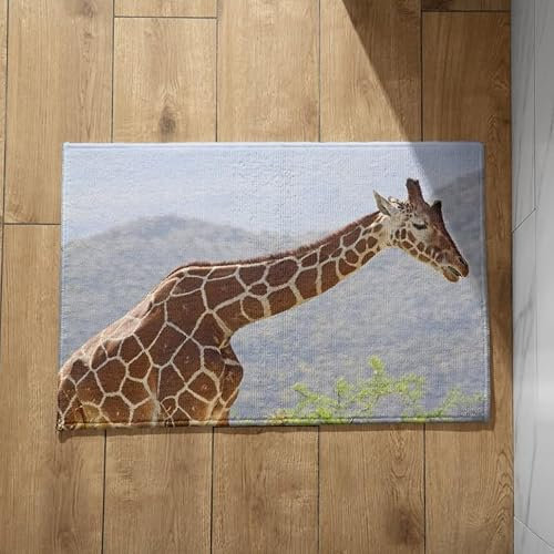 EHOMERY Fußmatte Für Dusche Zum Füße Schrubben Sauberlaufmatte Einbau Giraffe Schmutzfangmatte Außen Groß Fussmatten Haustür 50x80cm,
