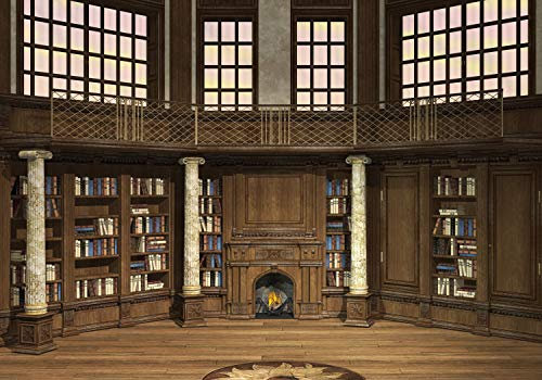 decomonkey Fototapete Bibliothek 350x256 cm XXL Design Tapete Fototapeten Vlies Tapeten Vliestapete Wandtapete moderne Wand Schlafzimmer Wohnzimmer Vintage