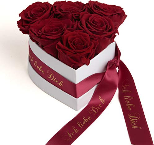 ROSEMARIE SCHULZ Heidelberg Infinity Rosenbox Herz Ich Liebe Dich - 10x15cm 6 ewige Rosen Dunkelrot (Burgundy, Medium)