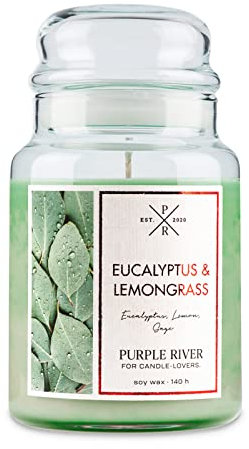 Purple River Große Duftkerze im Glas mit Deckel | Eucalyptus & Lemongrass | Duftkerze Eukalyptus | Kerzen lange Brenndauer | Sojawachskerze | Raumduft für Zuhause