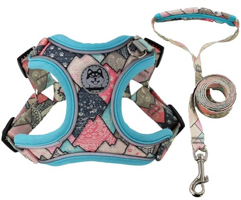 Pettorina Cane Taglia Piccola, Pettorina per cani con guinzaglio, Pettorina per Cani No Pull,Regolabile Riflettente Pettorina Anti Tiro per Cani con Doppio Gancio per Addestramento Passeggiate, S