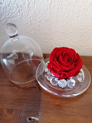 Rosa estabilizada roja en campana de cristal con decoraciones no enganchables. Idea regalo cumpleaños aniversario día de la madre fiesta de las mujeres compromiso sorpresa
