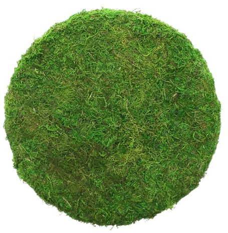 FRANK FLECHTWAREN Moos, Dekoplatte Moos, Naturmoos, Styropor Maße: Ø 32 x 7 cm