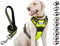 Moonpet Personalisiertes Anti Zug Hundegeschirr mit Leine Hunde Name und Telefonnummer für kleine mittel große X-große Hunde Spaziergang Laufen Zug