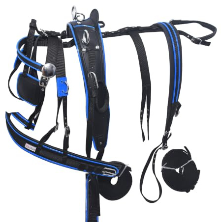 Aces Equine Nylongeschirr für Pferdewagen, Schwarz / Blau (COB)
