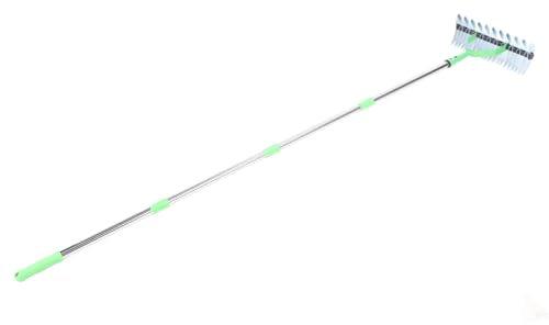 Thatch Rake Dethatcher Rake Garden Cultivator for Grass Growth 1.7m