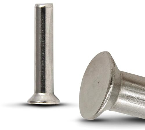 PROTECH 10 Stück Senknieten 3x10mm Edelstahl A2 rostfreier Senkkopfnieten V2A Vollnieten mit Senkkopf Niete DIN 661 Nieten Niet Länge 10mm