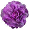 KABELIF Pfingstrose Blume Brosche, Blume Ansteckblume, Blume Haarspange, Haarclip Blume, Haarblume Haarblüte Haarschmuck für Mädchen Frauen Party Strand Hochzeit (Lila)