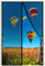Magnetische Fliegengittertüren, 330x290cm Magnetische Türvorhänge, Fliegengitter, Anti Mücken Vorhang mit leistungsstarken Magneten und Vollrahmen Magnetband, Schwarz 1995-Größe