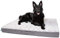 CopcoPet - Hundematte Lucky Hundematratze orthopädisch, rutschfest und waschbar, Hundebett kuschelig aus flauschigem Plüsch Fellimitat-Stoff Hundekissen Schlafplatz 80 x 60 x 10 cm Braun